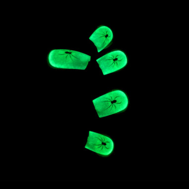 Spinnen Phospho Falsche Nägel - Packung mit 12 Stück