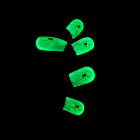 Spinnen Phospho Falsche Nägel - Packung mit 12 Stück