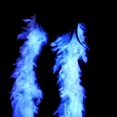 Boa Fluo Blanc 2
