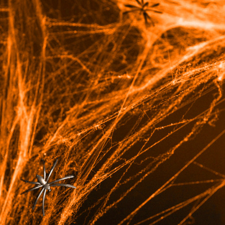 Toile d'Araignée Fluo