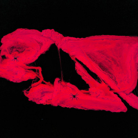 Toile d'ariagnée fluo