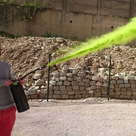 Extincteur de Poudre Holi - Lot de 6