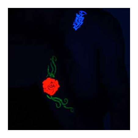 Peinture Fluo Corps 12 ml - Lot de 25