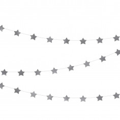 Guirlande argentée étoile