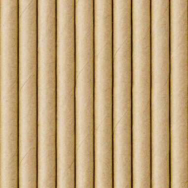 Pailles Kraft - Lot de 10