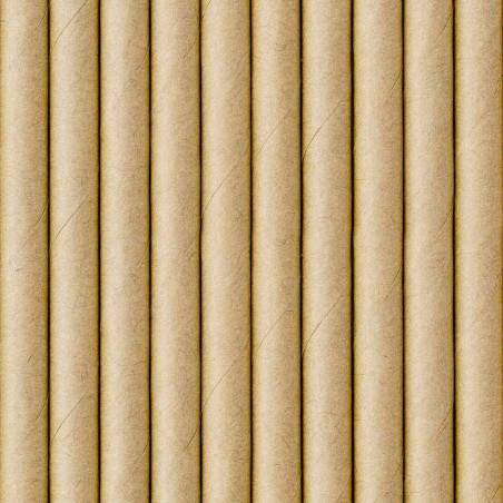 Pailles Kraft - Lot de 10