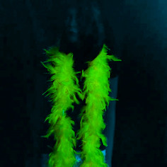Boa Neon