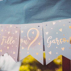 Guirlande Fille ou Garçon Gender Reveal