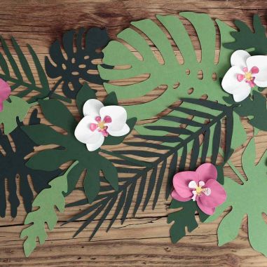 Décoration Tropicale Aloha