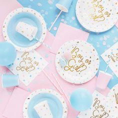 Assiettes en carton "Boy or Girl" 2