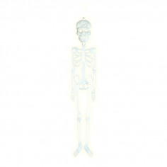 Squelette Phosphorescent 75 cm