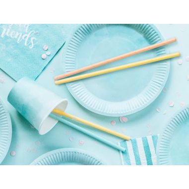 Paille Summer Time - Lot de 10