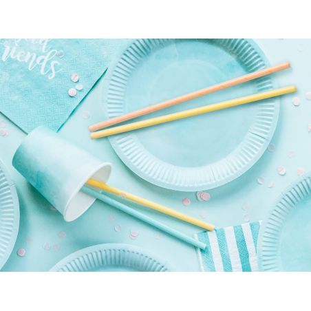 Paille Summer Time - Lot de 10