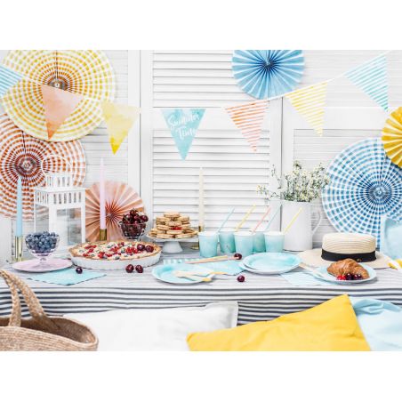 Paille Summer Time - Lot de 10