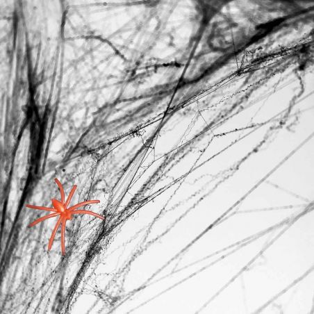 Toile d'Araignée Noire