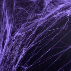 Toile d'Araignée Violette 2