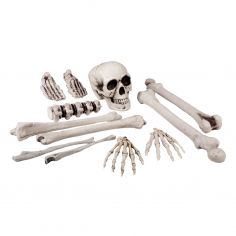 Crâne et Os de Squelette - Lot de 12