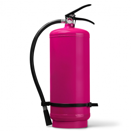 Extincteur de Poudre Holi - Lot de 6