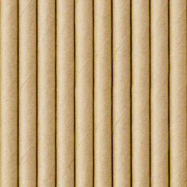 Pailles Kraft - Lot de 10
