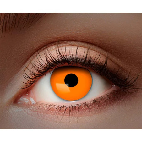 Lentilles 1 Mois orange
