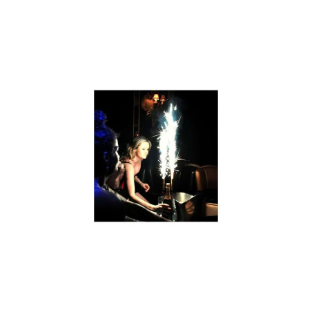 Lot de 100 fontaine à glace