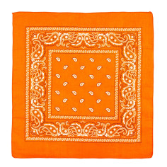 Bandana rétro orange 2