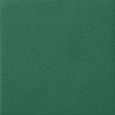 40 serviettes en papier vert 2