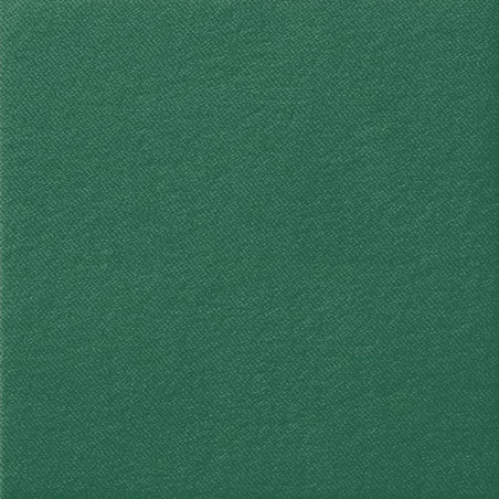 Pack de serviettes vert
