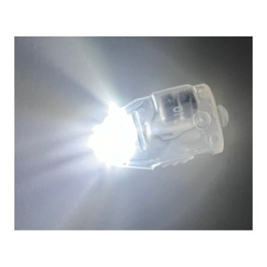 12 mini-lampes LED pour lampions ou...