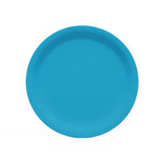 10 assiettes rondes en carton Bleu turquoise - 22 cm