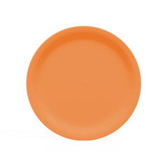 Lot de 10 assiettes 22 cm orange en carton