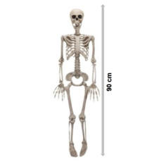 Squelette factice 90cm