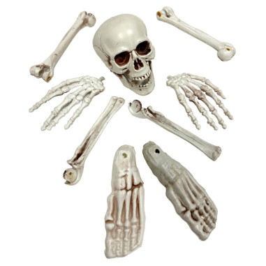 9 pièces squelette factice