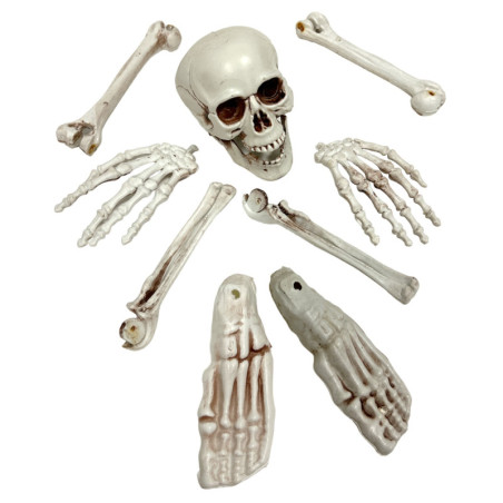 9 pièces squelette factice humain