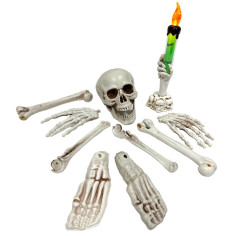 9 pièces squelette factice 2