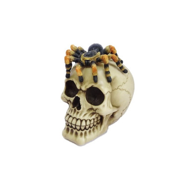 Tête de mort araignée résine 13.5 x 15 x 11 cm halloween Tête de mort araignée résine 13.5 x 15 x 11 cm halloween
