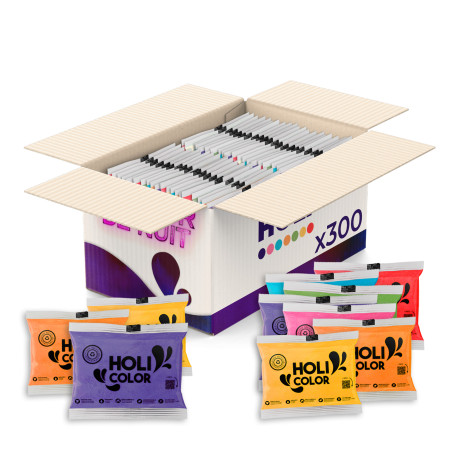 poudre holi 300 sachets