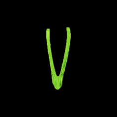 Mankini Borat Fluo Green 2