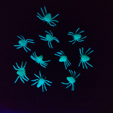 Set de 10 araignées phospho Set de 10 araignées phospho
