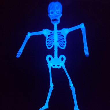 Petit Squelette Articulé Phosphorescent Petit Squelette Articulé Phosphorescent