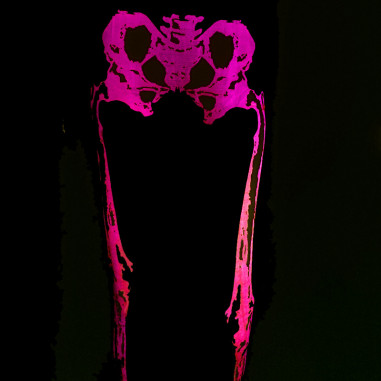 Legging Fluo rose Squelette Legging Fluo rose Squelette