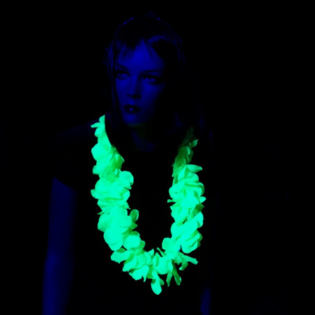 Collier Fluo Hawai vert flashy
