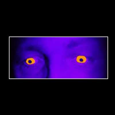lentilles-fluo