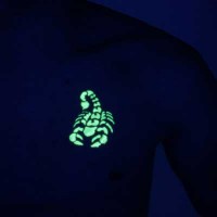 Fluo ou phospho