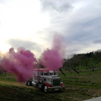 Révéler le genre du bébé avec de la poudre holi